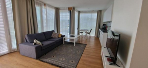 Beautiful apartments in Kirchberg